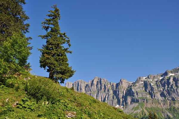 Wandern mit Fernsicht
