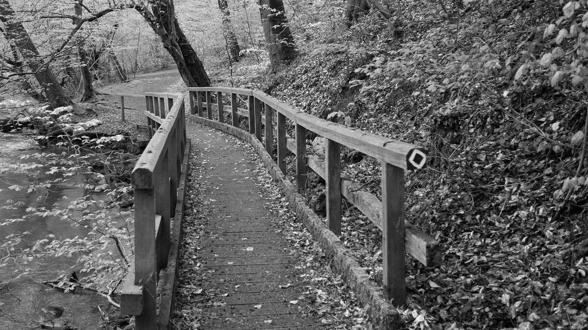 Waldbrücke