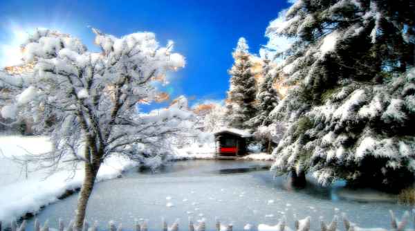 Winter am Teich