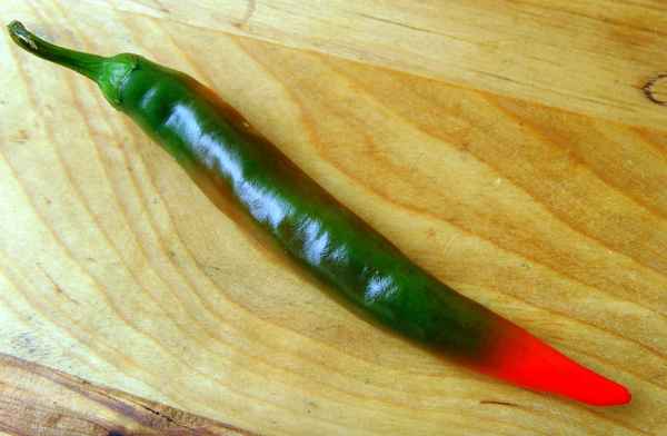 Echt so mit roter Nase gefunden - Peperoni