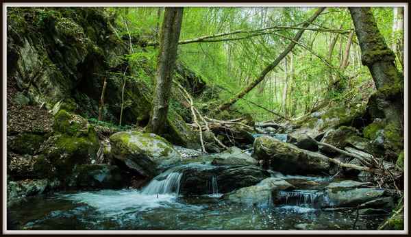 Im wilden Tal der Endert
