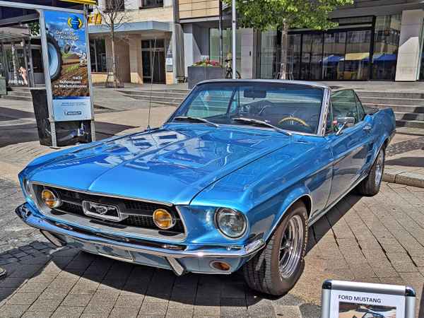 Ein Mustang braucht Benzin kein Hafer!