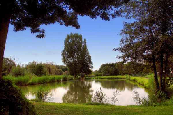 fischteich