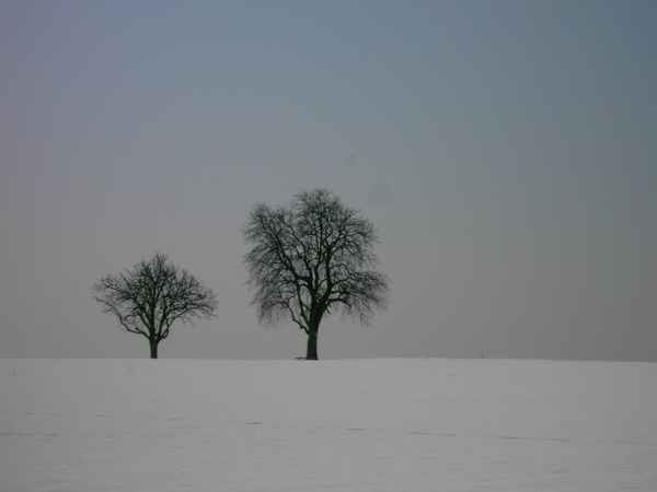 Winter im Odenwald