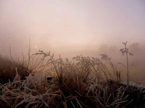 Novembermorgen am Fluss
