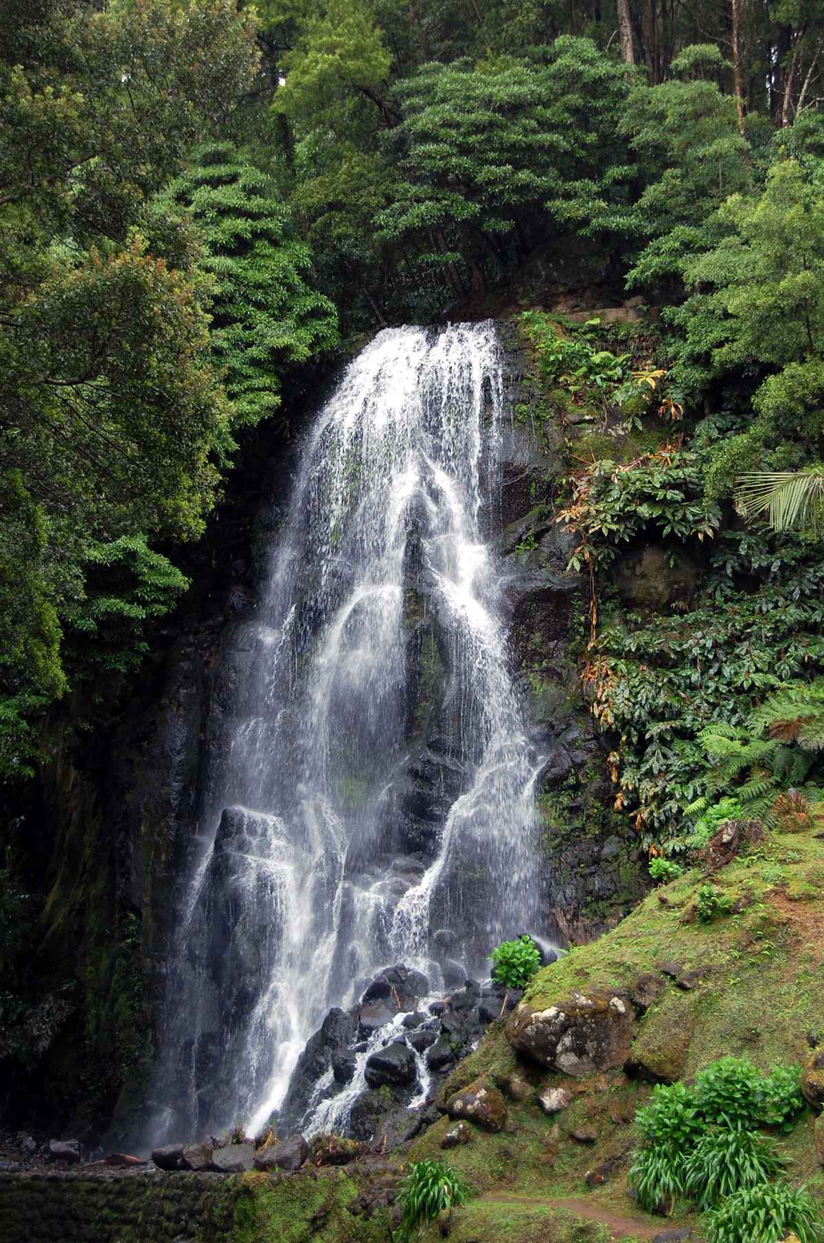 Parque Natural Da Ribeira dor Caldeiroes