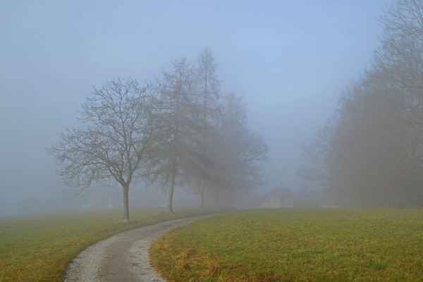 Eine Nebelwanderung / 1