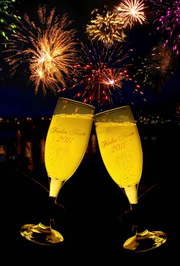 Frohes Neues 2011 ... immer die gleiche Leier ;o) ...