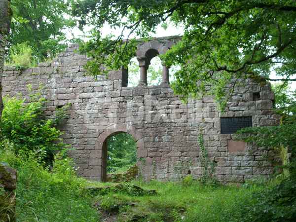 Die Burg Eberbach