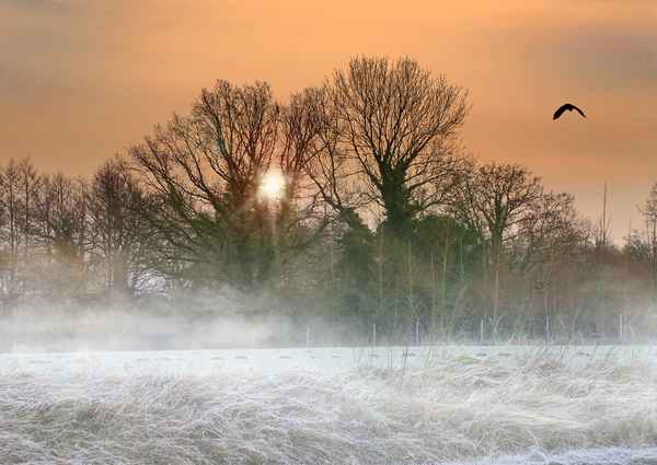 Abendstimmung am Auwald
