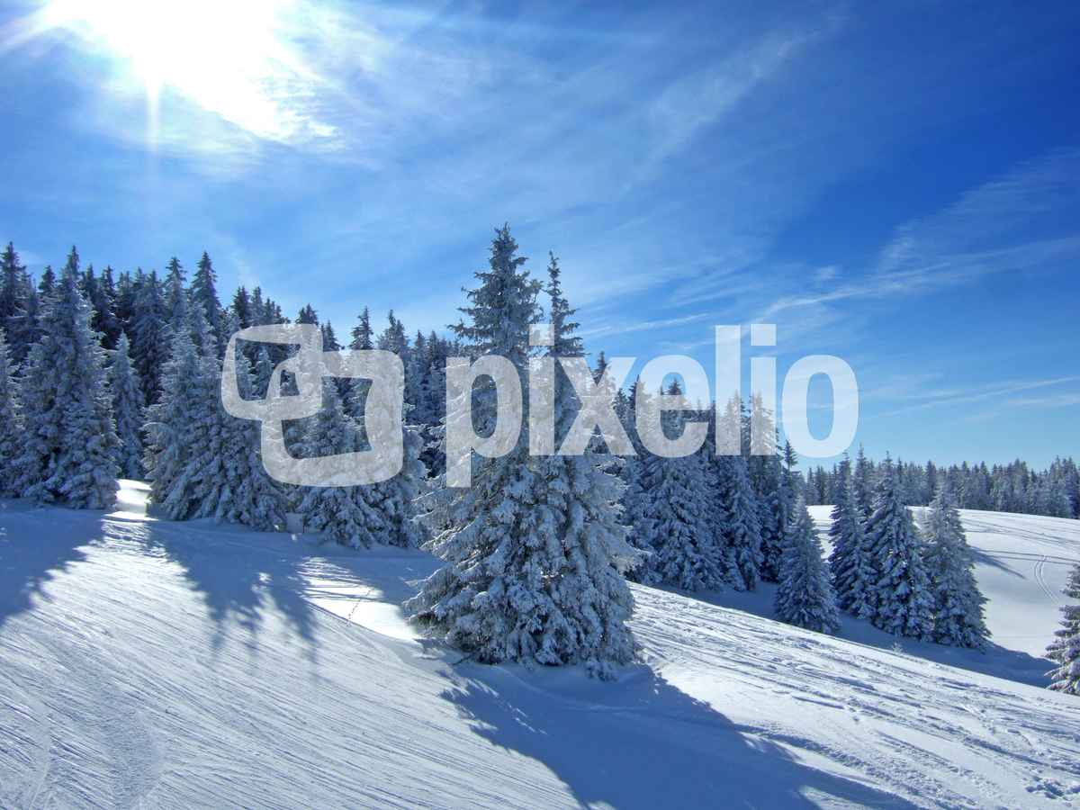 Sonniger Wintertraum