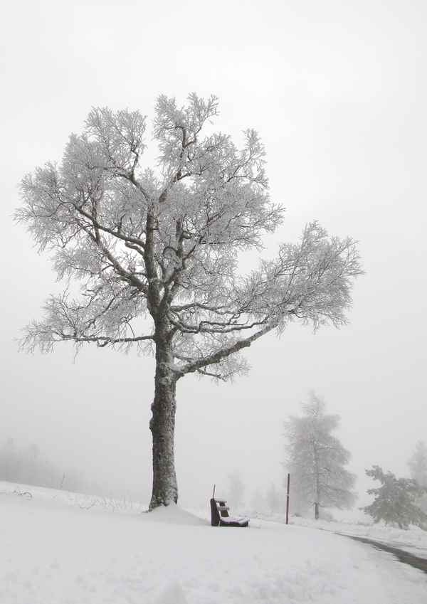 Der Weg wohin?