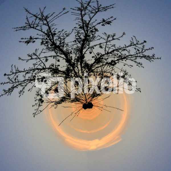little planet