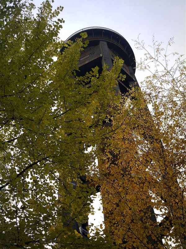 Naturpark Südgelände, Berlin