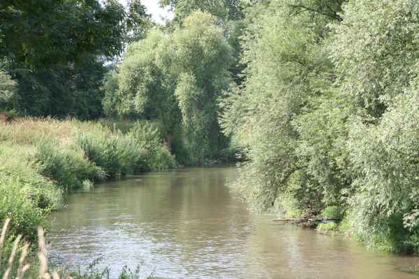 Renature - Die Nidda kehrt in ihr Bett zurück