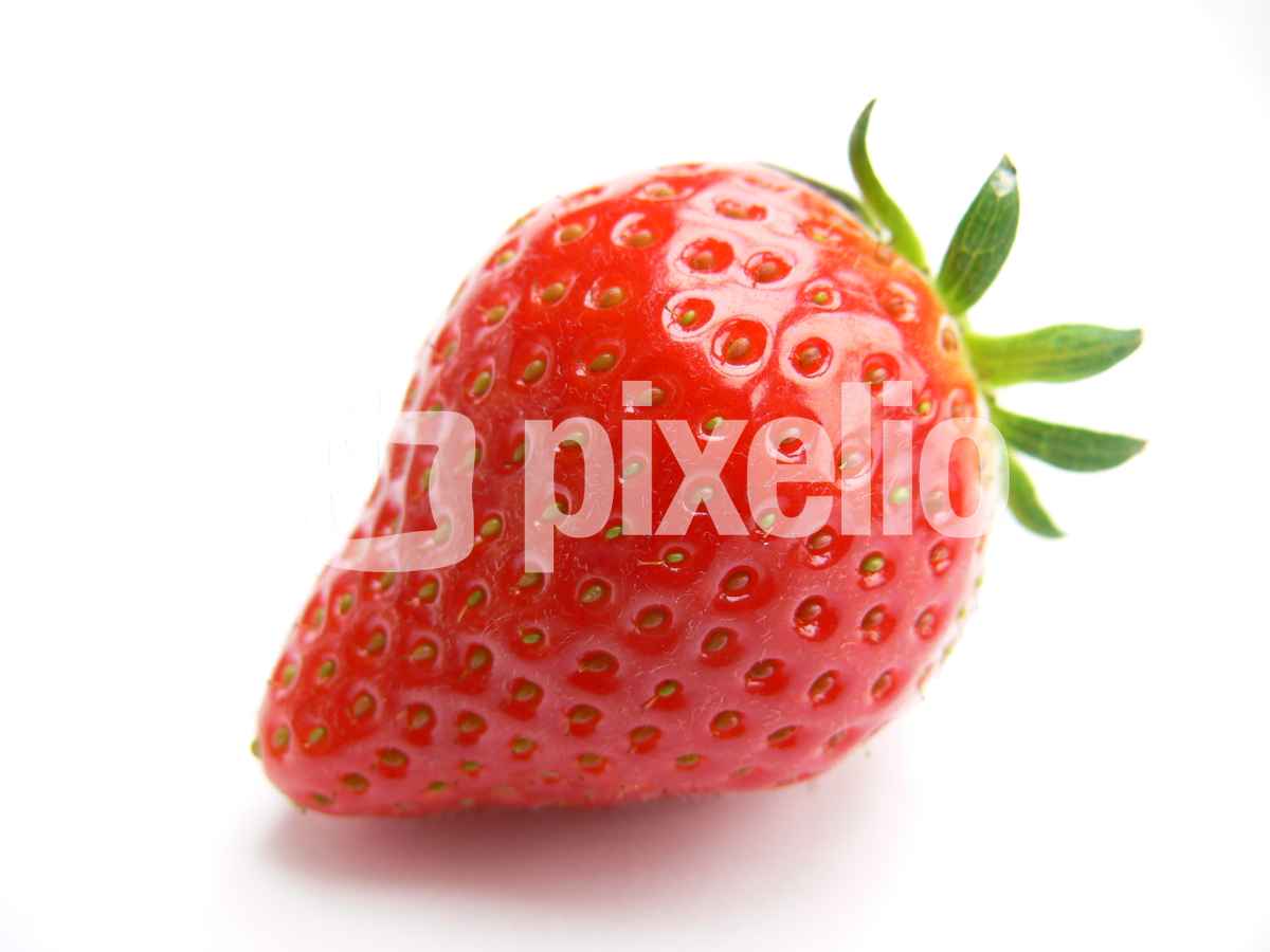 Erdbeere