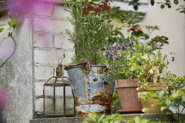 Blumenschmuck / Foto: Alexander Hauk