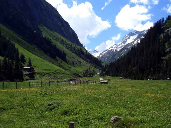 Blick über Almwiesen und Berghänge