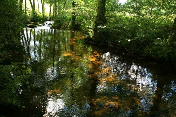 vertraeumter Wasserspiegel