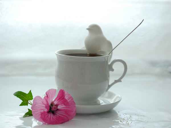 teatime . . .