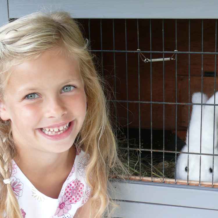 Mein falscher Hase