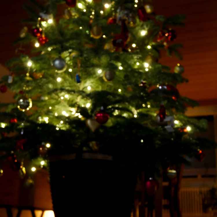 zerbrochene Weihnacht