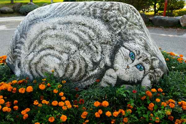 Katzen-Stein
