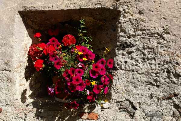 Blumenfenster in altem Gemäuer #2