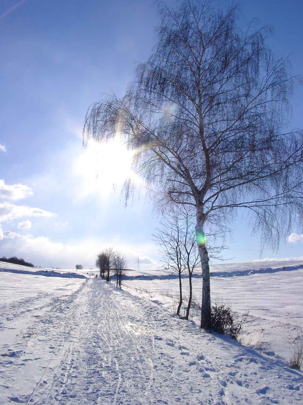 Winterlandschaft