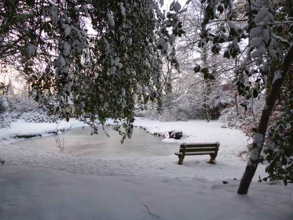 Still ruht der See