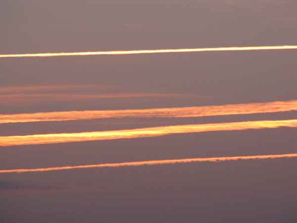 Goldene Kondensstreifen am Abendhimmel