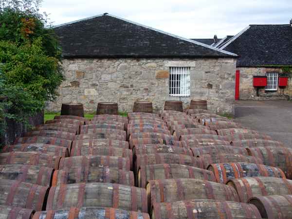Whisky Distillery Tan