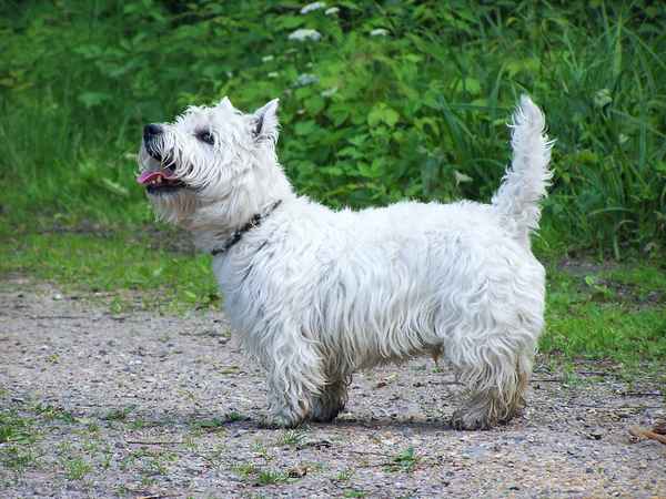 (Bonny und ...) Timmy_4