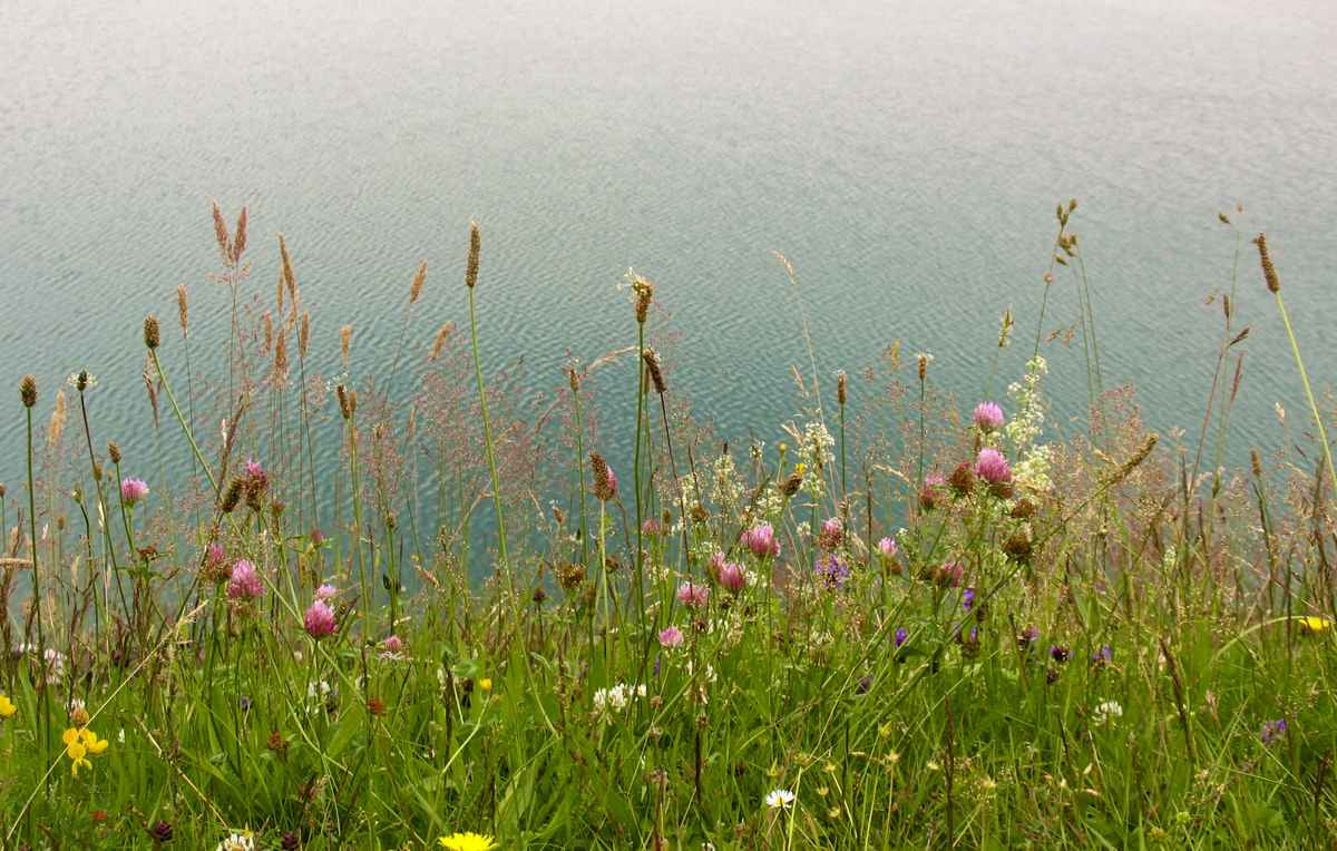 am See