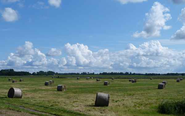 Küstenhimmel an der Ostsee