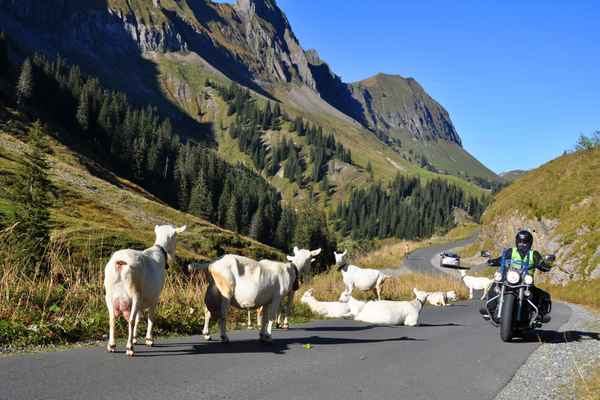 Kurvenfahren auf der Pragelpaßstrasse