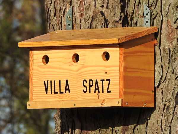 Platz an der Sonne