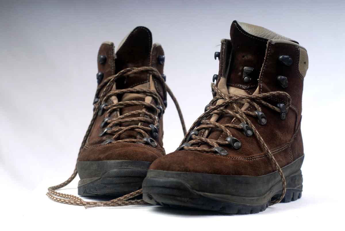 Wanderschuhe 1
