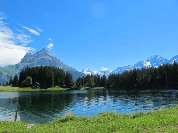 Sommer am Arni-Seeli