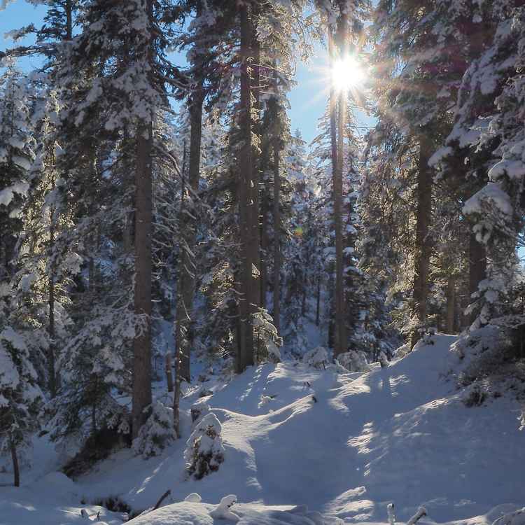 winterstimmung