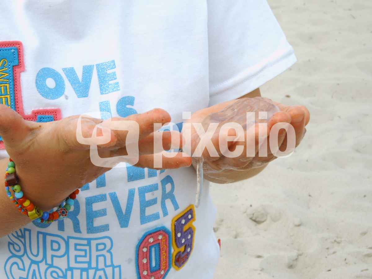 glibbrige Qualle in Kinderhänden