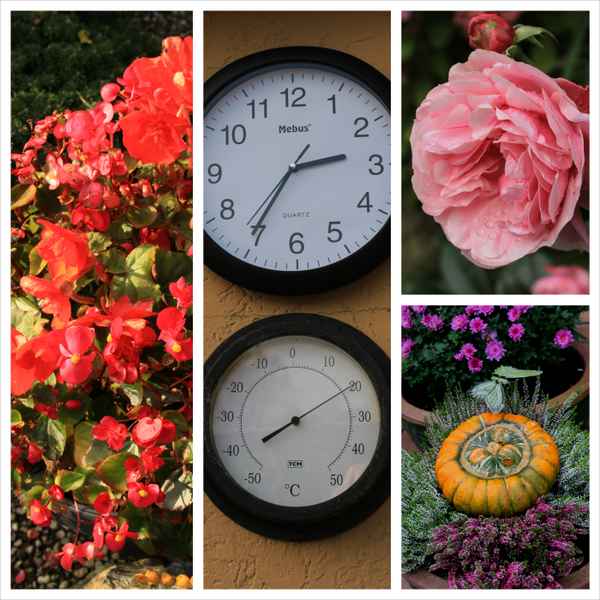 Frühling im Oktober