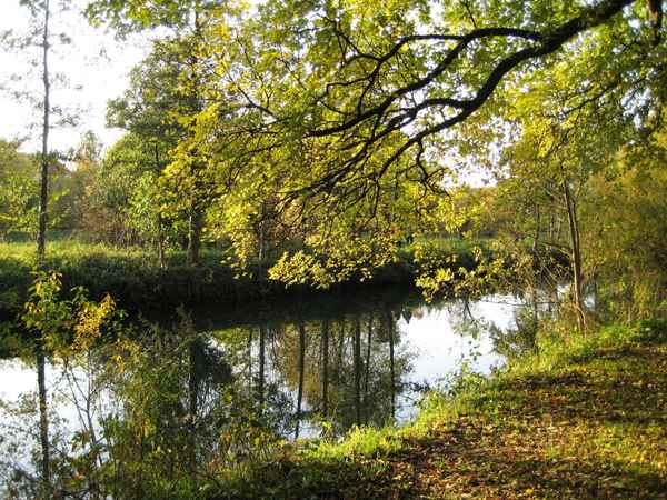 Spiegelungen im Fluss
