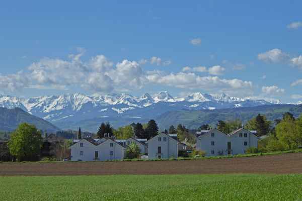 Berner Westalpen