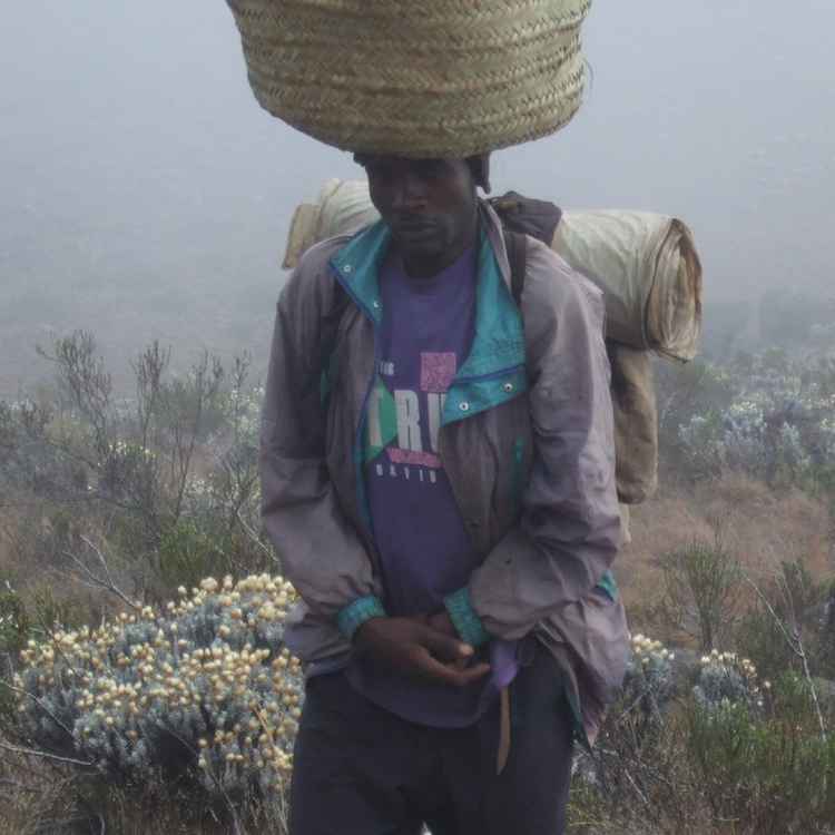 Träger im Nebel am Kilimanjaro