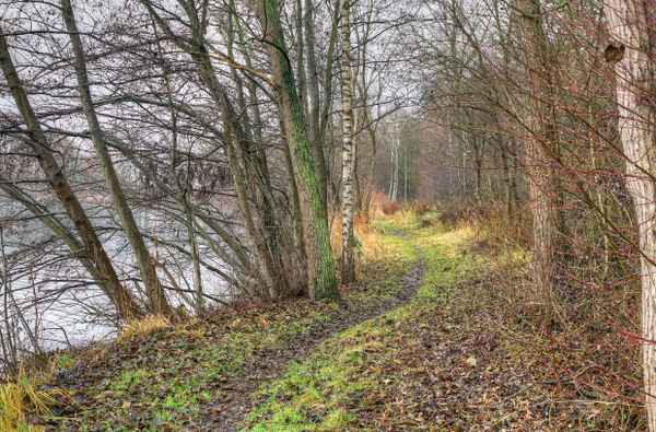Uferweg am Angelteich 1