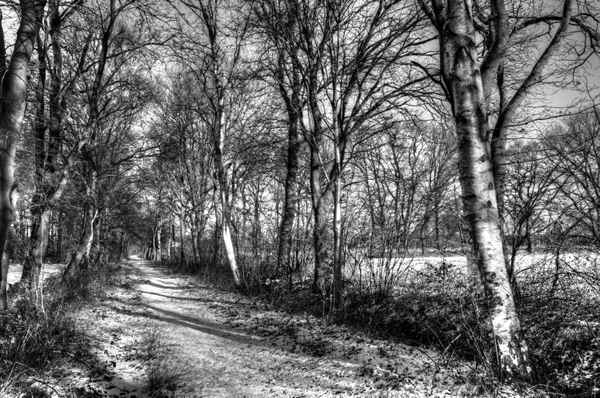 Ipwege Alter Bahndamm