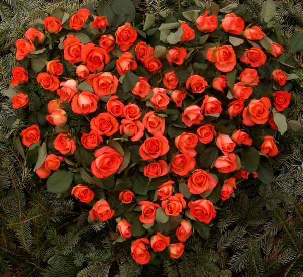 Rosen Herz der Liebe