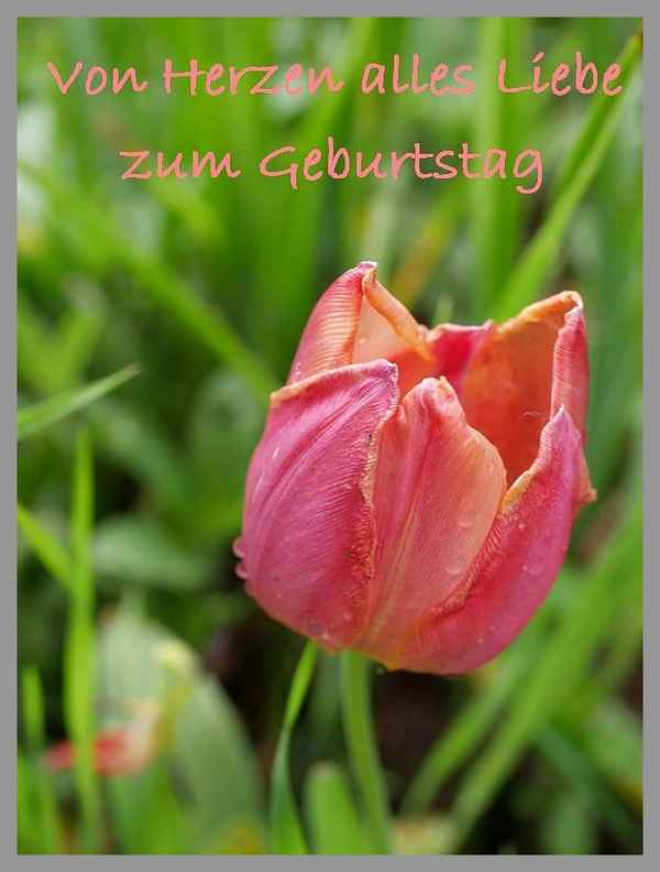 Von Herzen