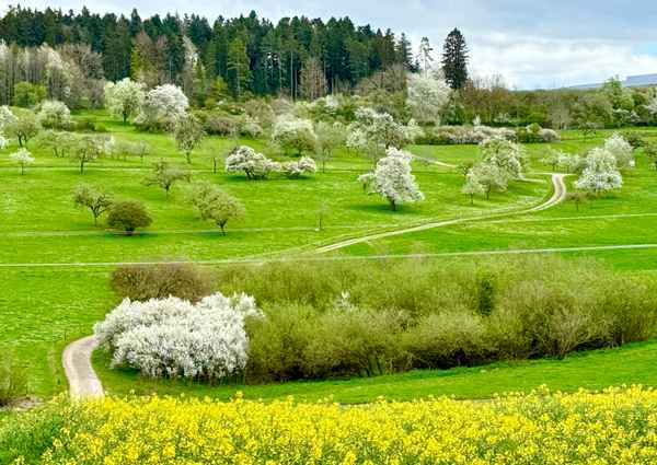 Weg in den Frühling_2